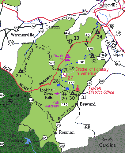 asheville.com news: Cradle of the Forest